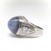 Vintage Star Sapphire Diamond Ring Retro 1950's 22.82ct t.w.Blue Gray Purple Star Sapphire Cocktail Birthstone Anniversary Ring Platinum